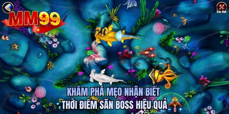 Khám phá mẹo nhận biết thời điểm săn boss hiệu quả