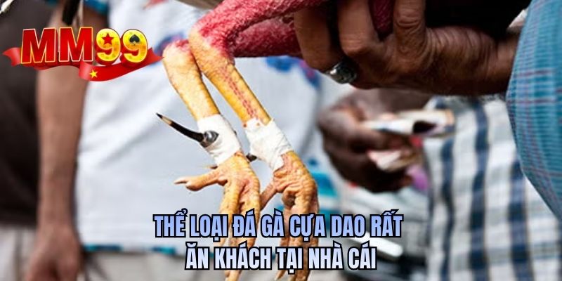 Thể loại đá gà cựa dao rất ăn khách tại nhà cái