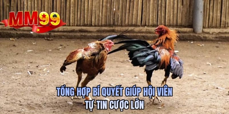 Tổng hợp bí quyết giúp hội viên tự tin cược lớn