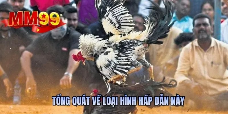 Tổng quát về loại hình hấp dẫn này